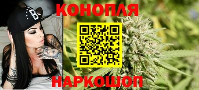 хмурый Новозыбков