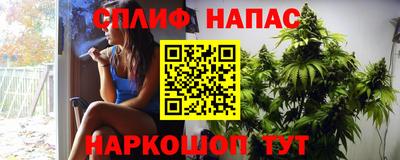 хмурый Новозыбков